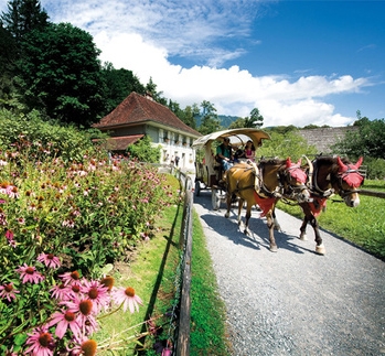 Kombiticket Ballenberg