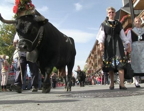 Alpabzug in Crans-Montana