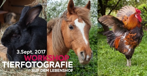 Workshop: TIERFOTOGRAFIE auf dem Lebenshof
