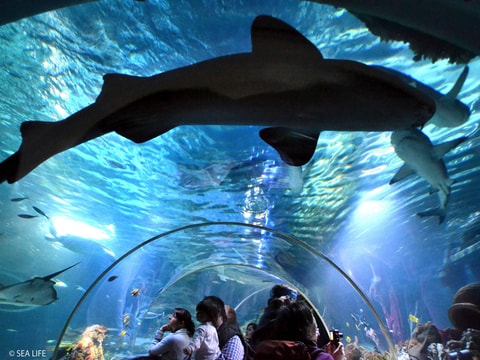 Sea Life Konstanz