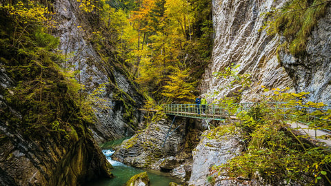 Chemin du Gruyère