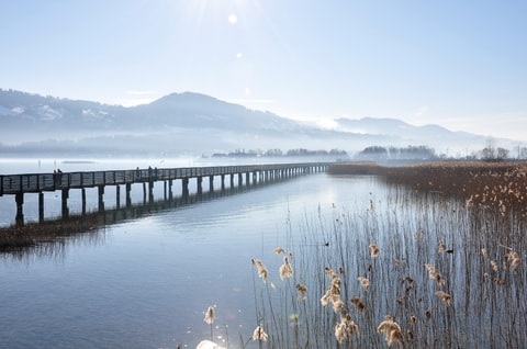 Holzsteg von Rapperswil nach Hurden