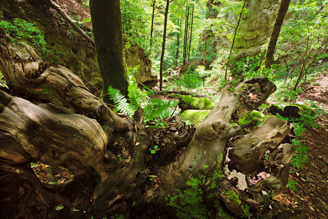 Wolfsschlucht Welschenrohr