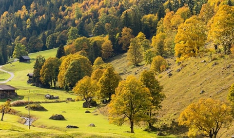 Familienspass im Naturpark Diemtigtal – Berner  Oberland