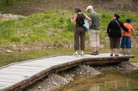 Naturlehrgebiet Buchwald – Ettiswil