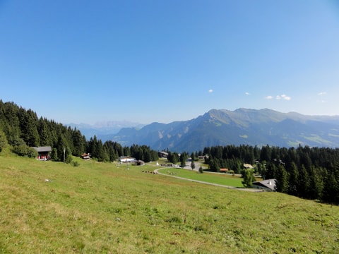 Der Hausberg von Chur – Brambrüesch