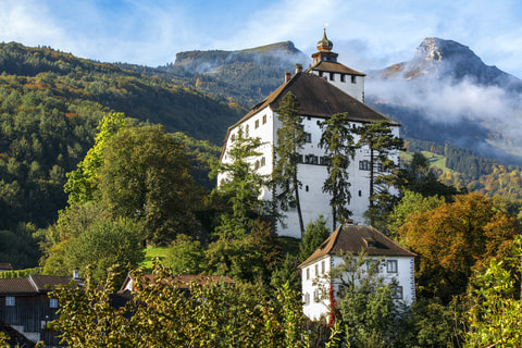 Schloss Werdenberg