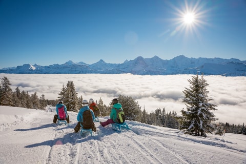 Schlitteln am Niederhorn