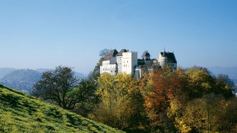 Foxtrail Aargau