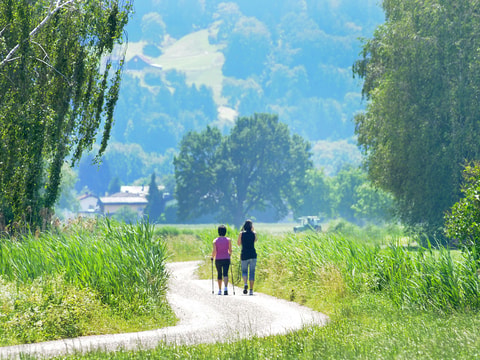 Naturschutzgebiet Rheindelta