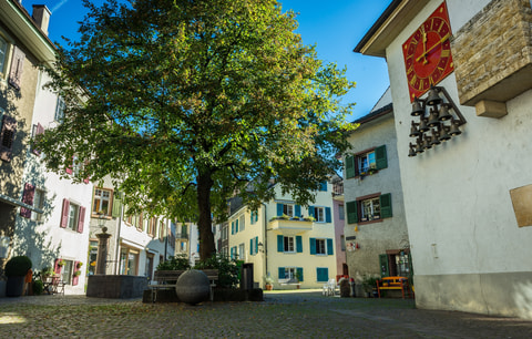 Frühlingserwachen in Rheinfelden