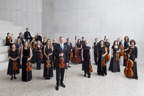 Nuggi-Konzert im ZKO
