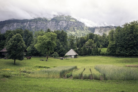 Natur und Kultur im Dialog