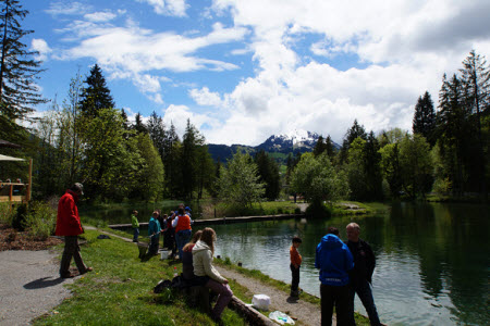 Forellensee in Zweisimmen