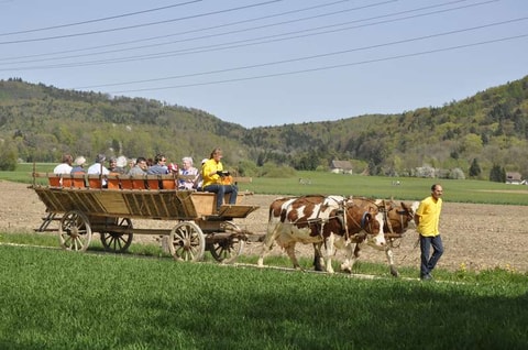 Bolderhof – Erlebnis- und Biobauernhof