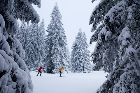 Skilanglauf im Jura