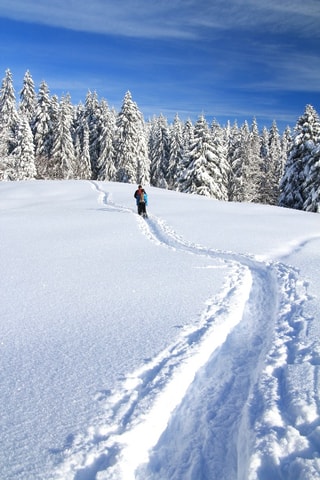 Schneeschuhlaufen und Fondue in St-Cergue