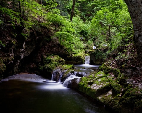 Wanderung durch die Twannbachschlucht