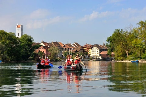 Kanusafari auf der Aare