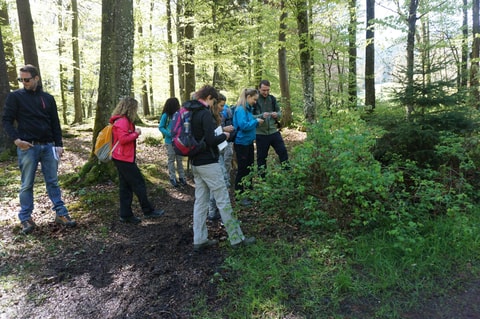 Heilpflanzen- und Kräuterwanderung in Braunwald