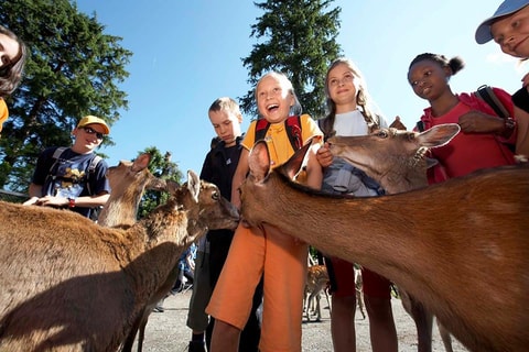 Tierisches Ferienprogramm im Natur- und Tierpark Goldau