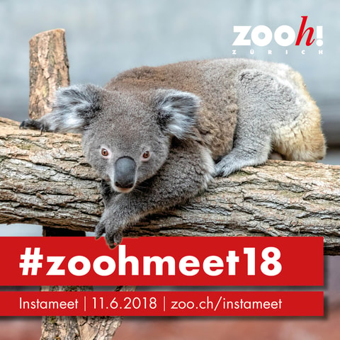 Erstes #zoohmeet im Zoo Zürich