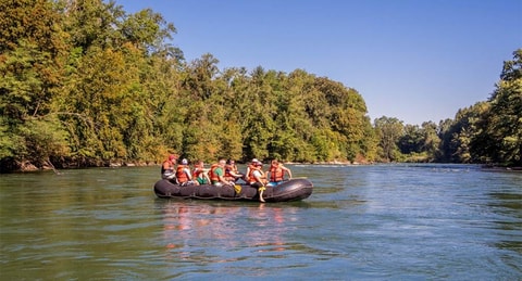 Fisch-Schiff – Bootstour durch die Aareschlucht