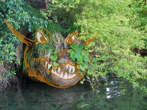 Drachenfahrt mit dem Kanu