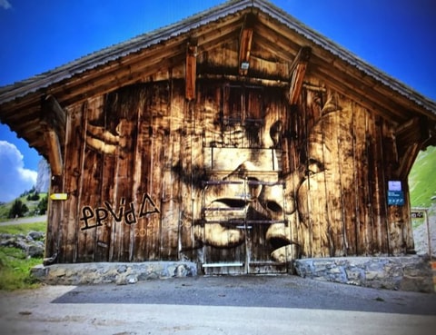 Ailyos Art Nature – Aigle, Leysin und col des Mosses
