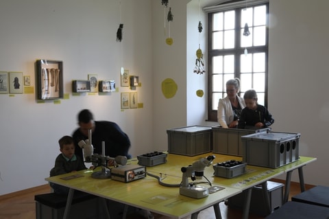 Gesundheit! – die Ausstellung im Schloss Heidegg