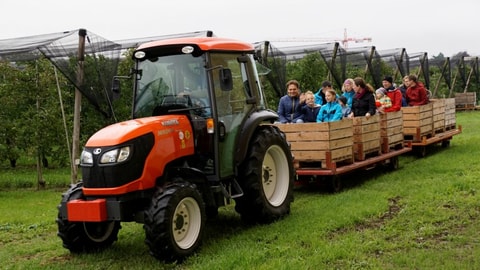 Vo Buur zu Buur in der Region Baden-Surbtal