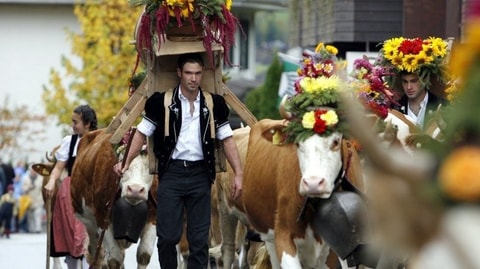 AlpKultur® Tage Lenk