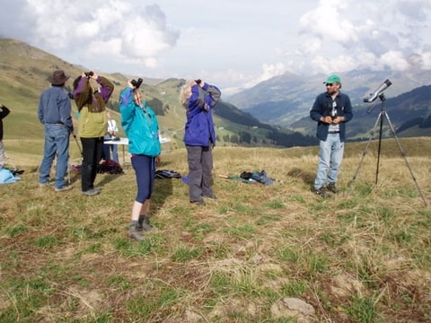 EuroBirdwatch