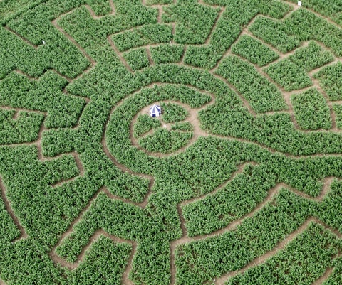 Swiss Labyrinth in Delémont