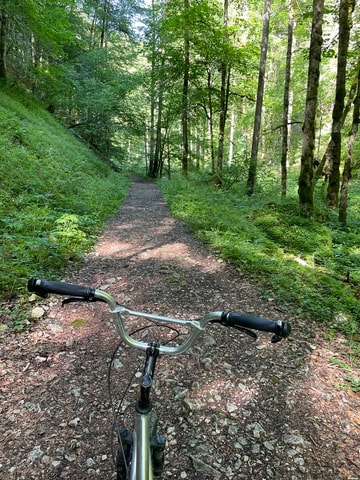 Trottinettplausch in den Freibergen