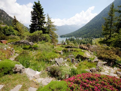 Botanischer Alpengarten Flore-Alpe in Champex-Lac
