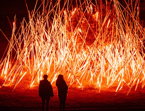 Rheinlicht Festival