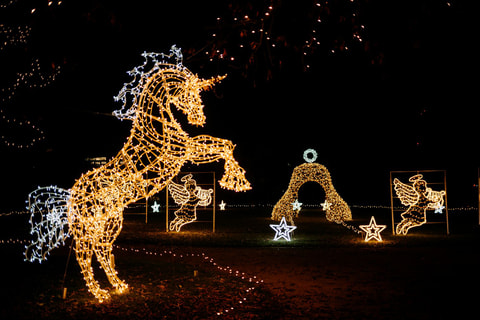 Story of Lights Aarau