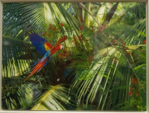 Fotokunst & Costa Rica in Ettingen