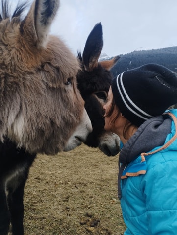 Besuch auf dem Bauernhof