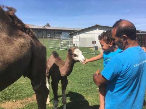 Kindertag auf der Kamelfarm