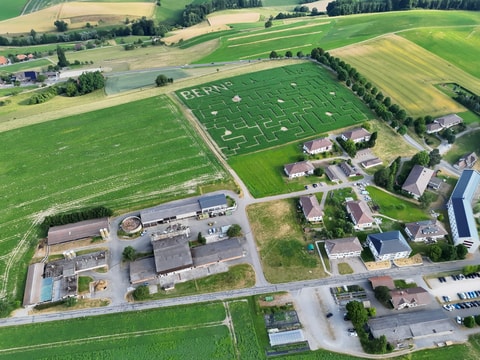 Frienisberger Maislabyrinth