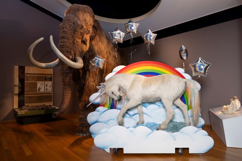 Glitzer & Glamour im Naturhistorischen Museum Basel