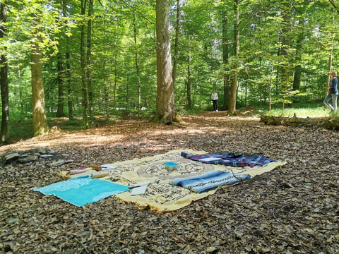 Schreiben im Wald