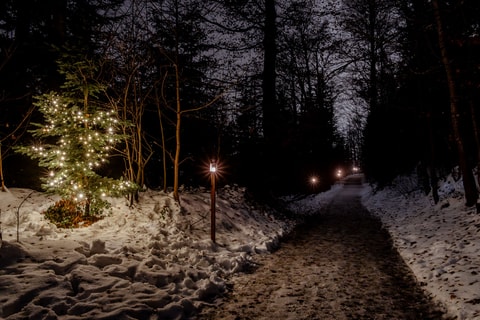 Lichterweg Zugerberg