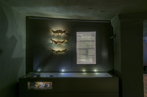 Museum für Archäologie Thurgau