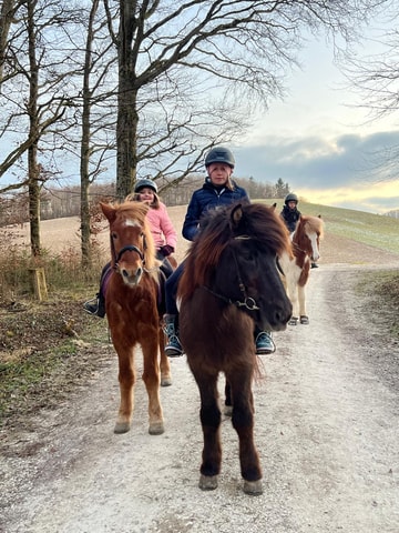 Ponytage auf dem Valurhof