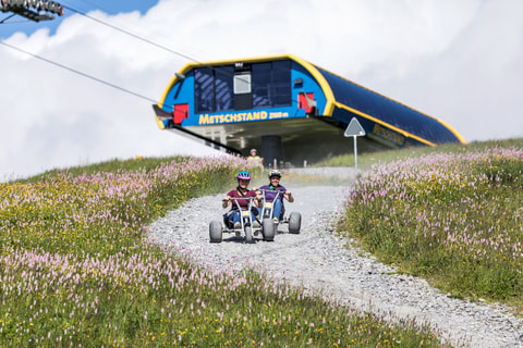 Mountain Cart VogellisiBerg