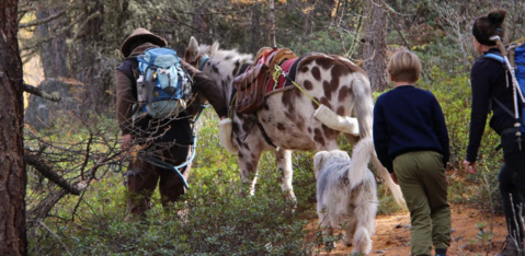 Accompagnez les mulets sur les sentiers du Valais