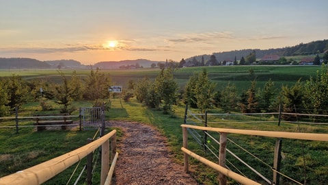 Zelgli TrüffelTrail